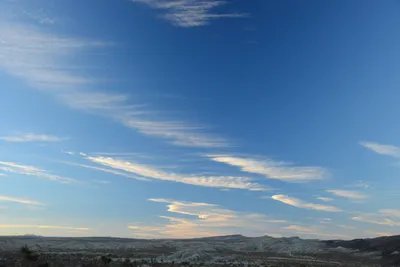 DSC_0307 (Large).JPG